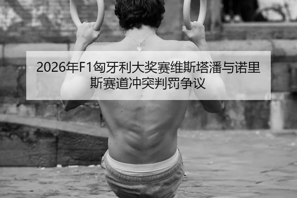 2026年F1匈牙利大奖赛维斯塔潘与诺里斯赛道冲突判罚争议